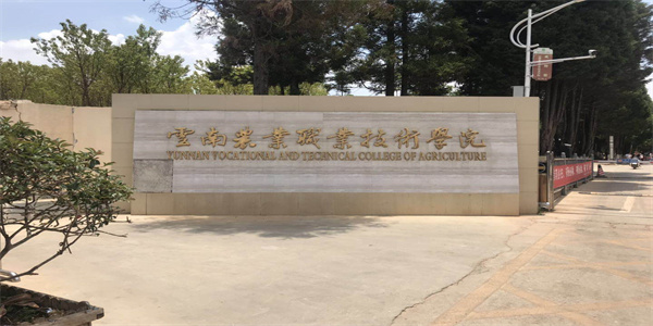 云南农业职业技术学院2026年五年制大专招生简章 云南农业职业技术学院2026年五年制大专招生简章